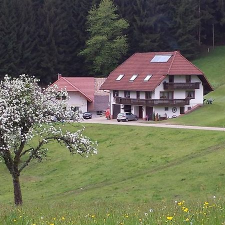 Ferienwohnung Ringwald Biederbach Baden-Württemberg Εξωτερικό φωτογραφία