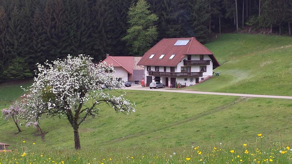 Ferienwohnung Ringwald Biederbach Baden-Württemberg Εξωτερικό φωτογραφία